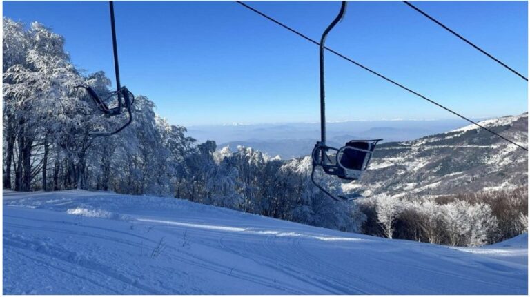 Web capture_12-2-2026_64621_www.taxydromos