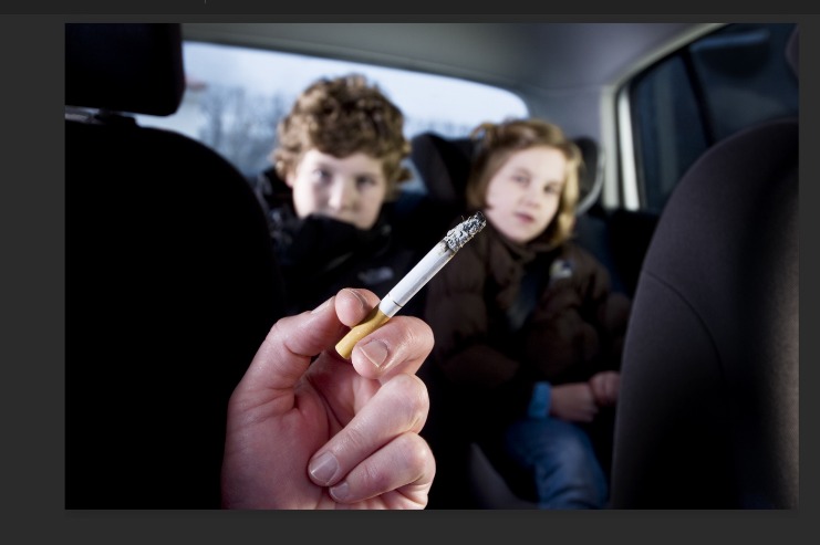 Web capture_16-2-2026_104038_www.bing