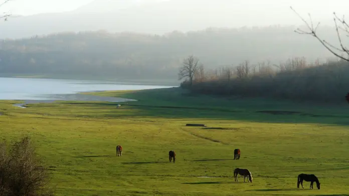 plastira_lake_a_natural_delight_for_the_ecotourist-1-696x392