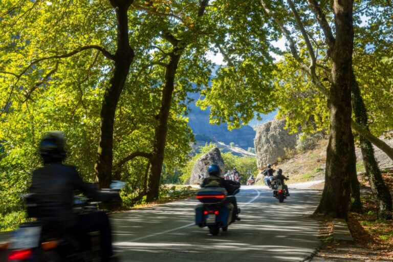 Greece.,Summer,Sunny,Day,In,The,Shade,Of,Trees